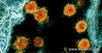 Niederlande: 613 Tage lang Corona: Forscher stellen seltenen Infektionsfall vor