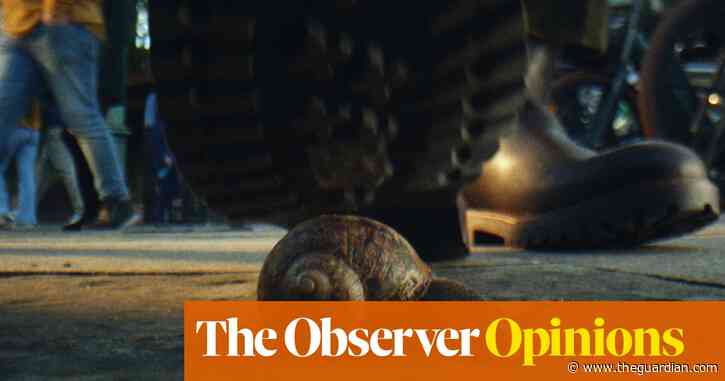 Call us woke if you like, but all animals deserve the RSPCA’s protection | Chris Sherwood