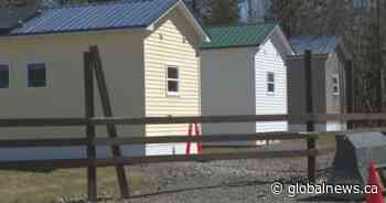 Fredericton tiny home community providing housing, opportunity