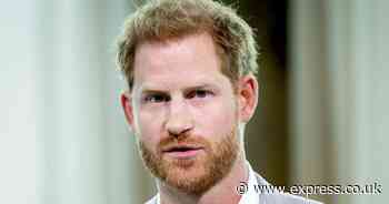'They are disgusted!' Prince Harry 'enraging' Americans over US visa controversy