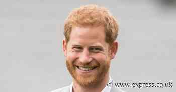 Prince Harry visa row: Judge deciding request may want to avoid dangerous 'precedent'