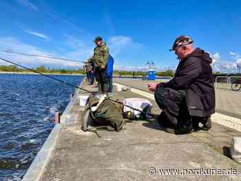 Warum aktuell so viele Angler am Stadthafen stehen