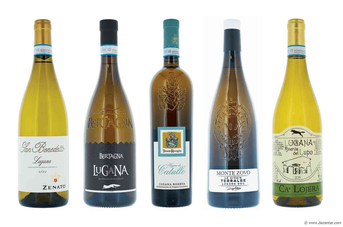 Lugana white wines: Panel tasting results