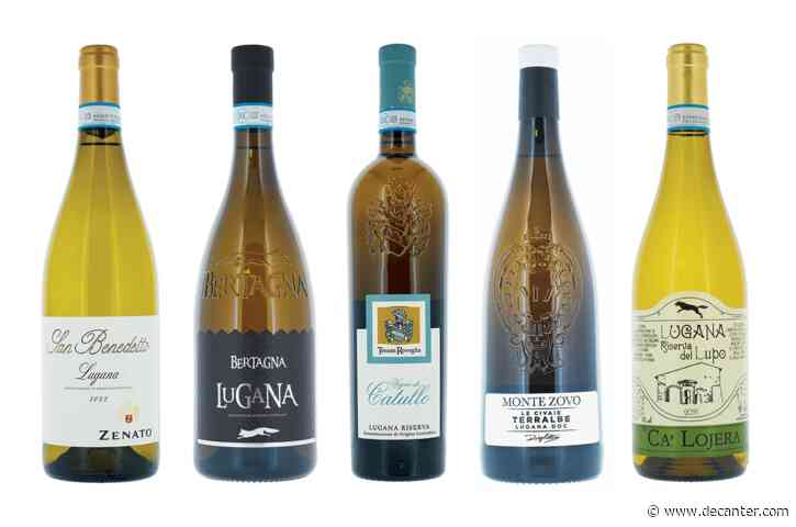 Lugana white wines: Panel tasting results