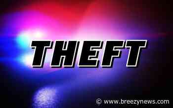 Electronic Theft Reported in Sallis