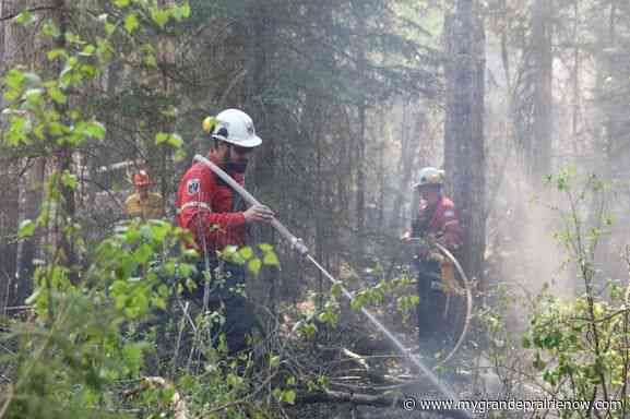 Grande Prairie Forest Area in “moderate” wildfire danger: Alberta Wildfire