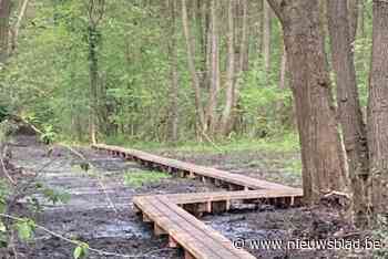 Plankenpad van 115 meter loopt door herstelde Huttebeekvallei
