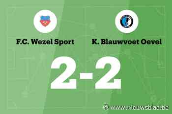 Blauwvoet Oevel sleept gelijkspel uit de brand in de uitwedstrijd tegen Wezel Sport B