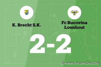 Bucovina Loenhout speelt gelijk in uitwedstrijd tegen Brecht