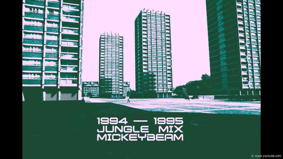 1994 - 1995 Old Skool Jungle Mix (Mickey Beam)