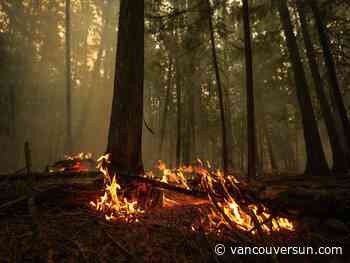 Multiple early season wildfires burning in B.C.’s Cariboo and Prince George regions