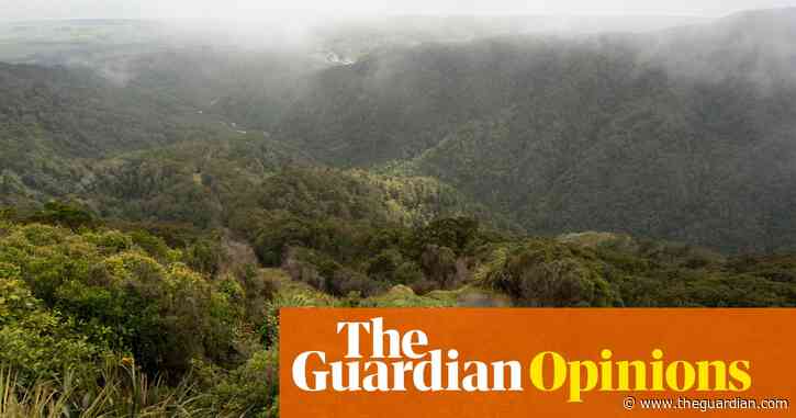 New Zealand plans to put big developments before the environment. That’s dangerous | Nicola Wheen and Andrew Geddis