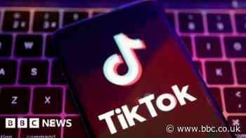 TikTok warns US ban would 'trample free speech'