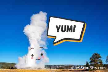 Old Faithful Is Excited About New Tourist Season – YUM!