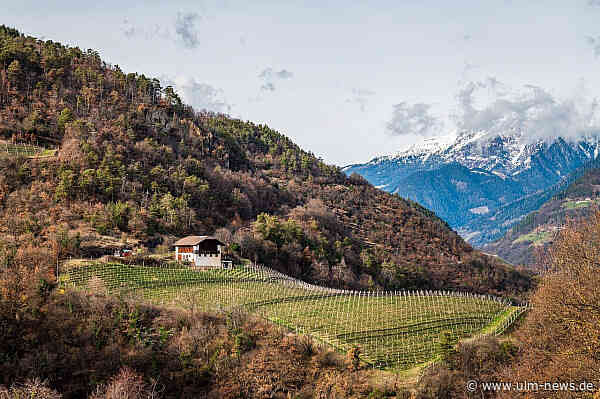 Unvergessliche Ferien in Südtirol: Die schönsten Aktivitäten und Sehenswürdigkeiten