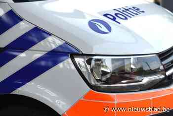 Bestuurder lichtgewond na ongeval in Proosterbos