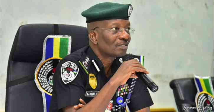 IGP Egbetokun opposes state police, says Nigeria isn't ripe enough
