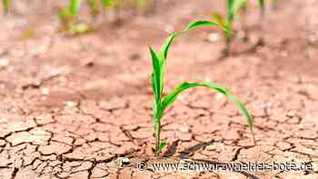 Workshops in Althengstett: Gute Lebensqualität trotz Klimawandel