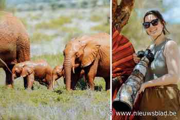 Femke (23) legt zeldzame olifantentweeling vast op beeld in Kenia: “Trillende handen bij het maken van unieke foto’s”