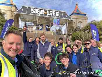 Sea Life Brighton goes litter picking as part of Earth Day