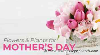 Flowers & Plants for Mother’s Day