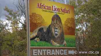 Senators reject field trip to African Lion Safari amid elephant bill study