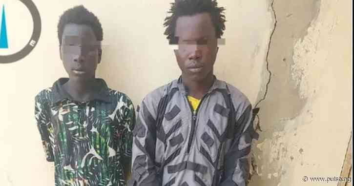 2 Boko harm experts abandon mission, surrender to troops in Borno