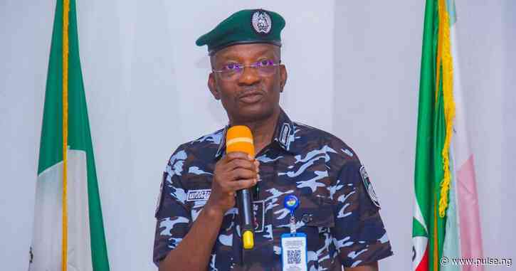 IGP wants NSCDC, FRSC merged with Nigeria Police Force