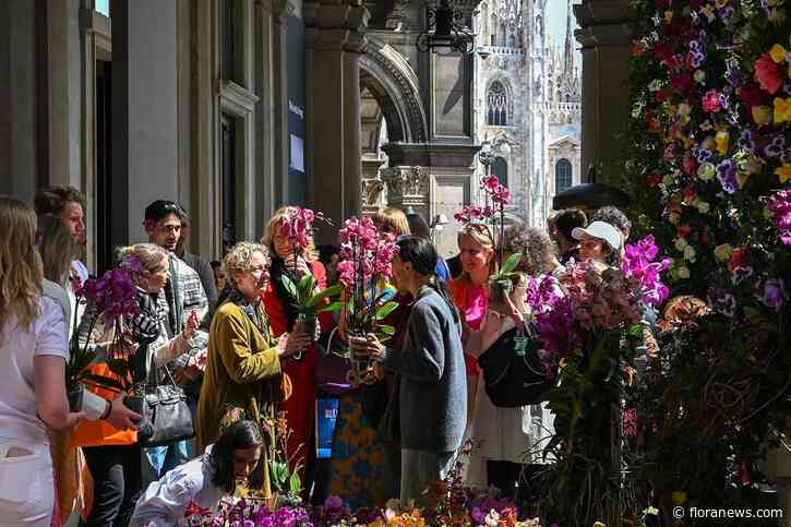 Honderden langbloeiende orchideeën voor inwoners Milaan