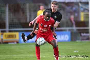 Tempo Overijse loopt in Tongeren tegen oplawaai aan: “We willen echt nog iets maken van die laatste matchen”