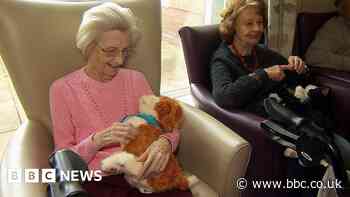 Care home residents react to robot pets