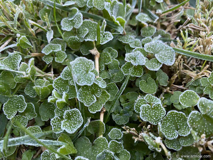 Protect those plants: a Frost Advisory has been issued for Arlington