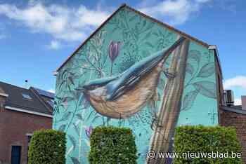 Ook tweede gevel van street art project helemaal opgeknapt