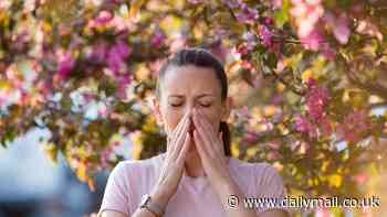 A 'cure' for hay fever at last: Pioneering treatment is finally available on the NHS... but sufferers face a postcode lottery. Find out how you can get it