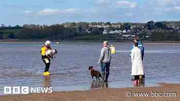 Deaf and blind dog rescued from river