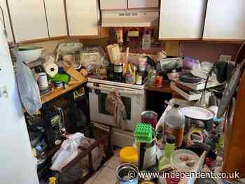 Inside squalid Florida home of hoarder accused of abusing 30 cats in ‘unlivable’ environment