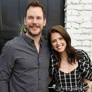 Chris Pratt, Katherine Schwarzenegger Slammed for Demolishing L.A Home