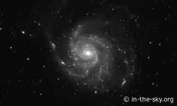 22 Apr 2024 (Today): Messier 101 is well placed