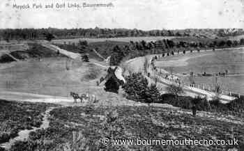 Meyrick Park was a vital part in the growth of Bournemouth