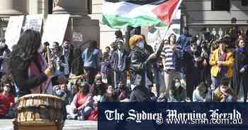 Mass arrests at university campuses as pro-Palestine protests escalate in US