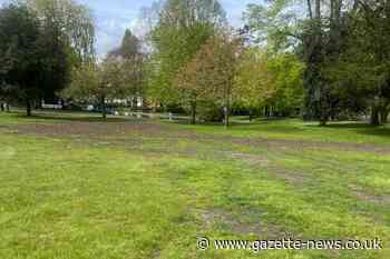 Colchester Castle Park grass repair work completed
