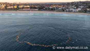 Surfers honour the six victims of the Westfield Bondi Junction stabbing attack and form a heart in the ocean