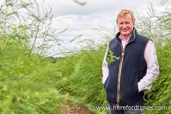 Herefordshire farm celebrates 10 years of supplying Aldi