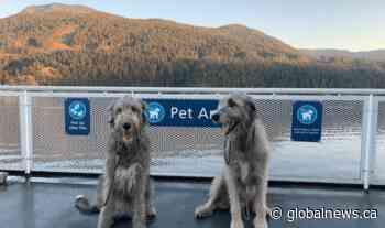 Outdoor pet areas added to two more BC Ferries vessels