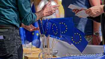 Vor Europawahl: Datenschutzbeauftragte warnt Parteien vor gezielter Wahlwerbung