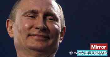 'Vladimir Putin's no Jesus Christ – he's a psychopathic filler addict who could start World War Three'