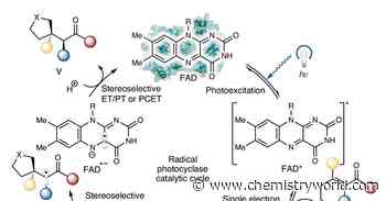Light-driven enzyme engineered and repurposed to catalyse unnatural reaction