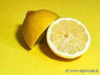 Limone, l'agrume dai benefici sorprendenti