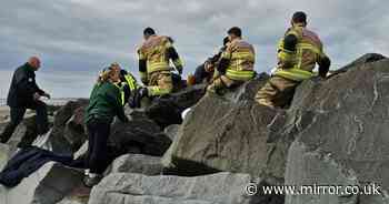 Major rescue operation with diggers used to save girl stuck under rocks on beach as tide came in