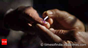 Lok Sabha elections 2024 full schedule: Darjeeling to vote on April 26